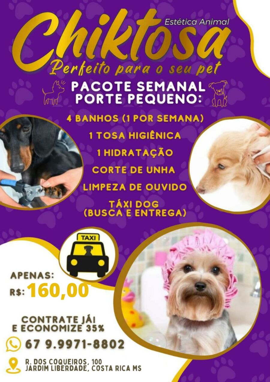 Imagem WhatsApp Image 2024-08-13 at 08.15.38